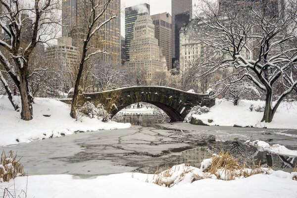Central Park after snow storn in New York City