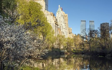 Central Park, New York Şehri