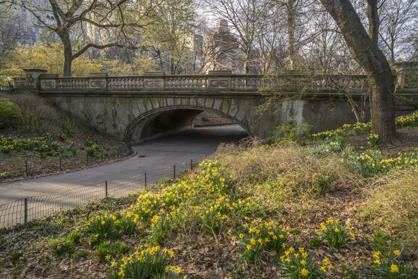 Vroege lente in central park, new york city — Stockfoto