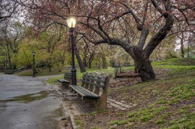 Central Park 'ta bahar, New York