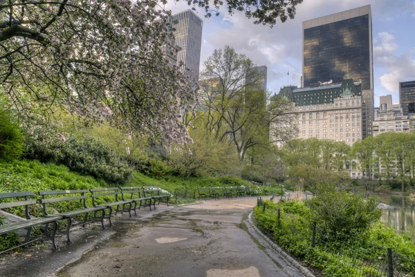 Central Park, Nueva York — Foto de Stock