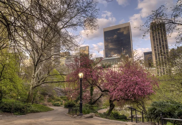 Central Park, Νέα Υόρκη — Φωτογραφία Αρχείου