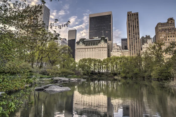Central Park, New York Şehri — Stok fotoğraf