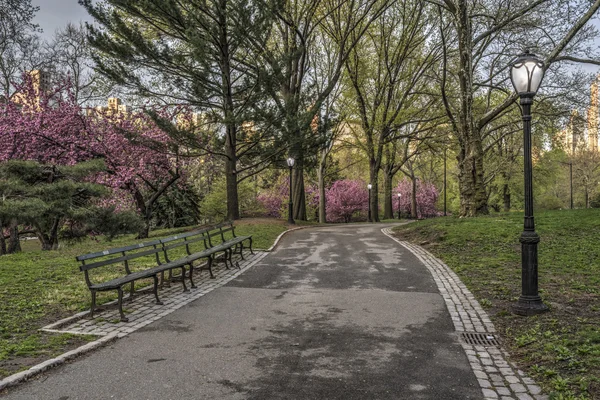 Frühling im Central Park, New York City — Stockfoto