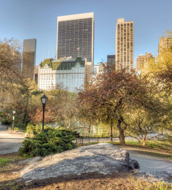 Central Park, New York Şehri