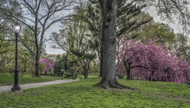 Central Park 'ta bahar, New York