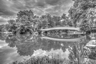 yay köprü central park, new york city