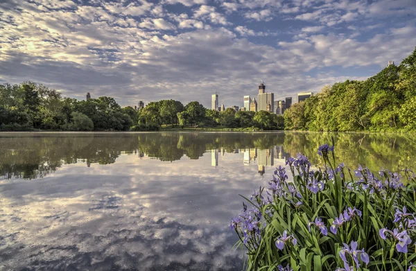 Jezioro central park, Nowy Jork — Zdjęcie stockowe