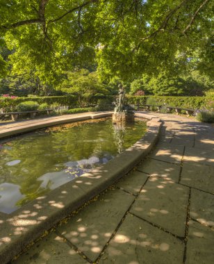 Kış Bahçesi Bahçe central park, new york city