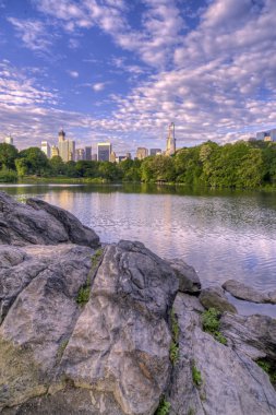 Central Park, New York Şehri
