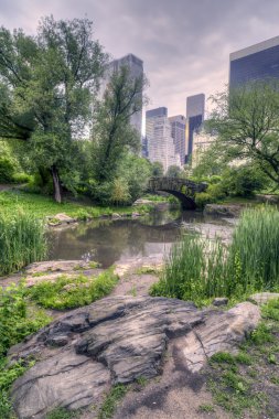 gapstow köprü central park, new york city