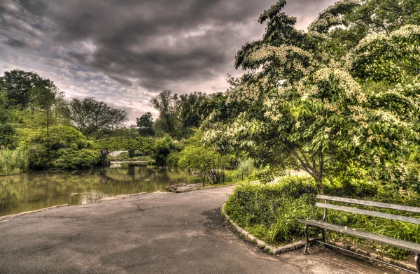 Gapstow bro central park, new york city — Stockfoto