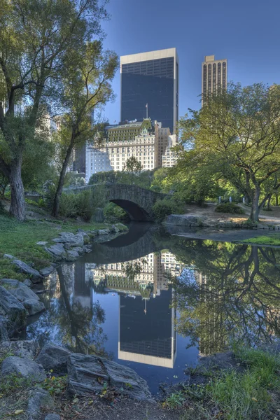 Central Park Gapstow bru – stockfoto