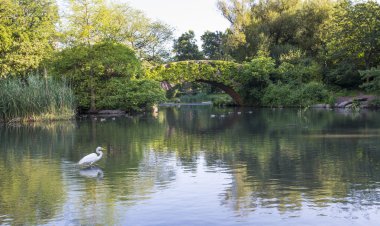 Yaz aylarında gapstow Köprüsü