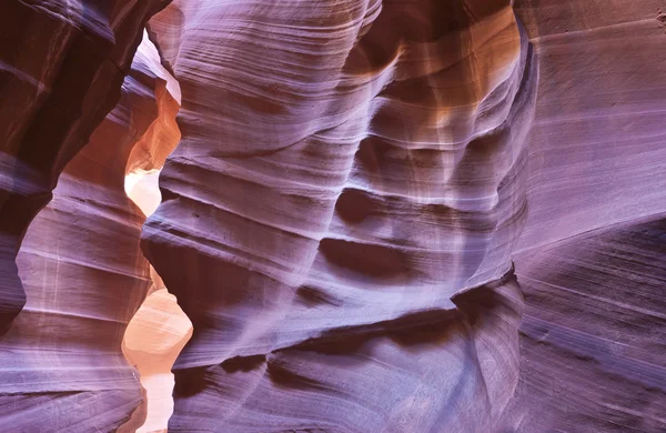 Canyon de l'antilope — Photo