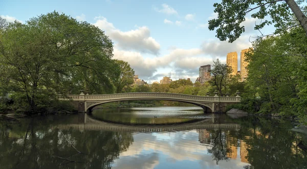 Central park, new york city boog brug — Stockfoto