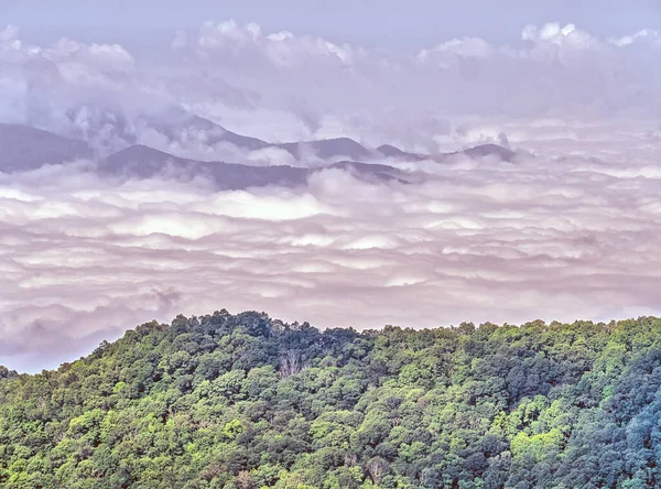 Great Smoky Mountains National Park Parque Nacional Americano Sudeste Dos — Fotografia de Stock