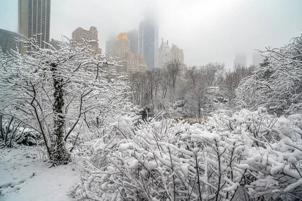 Central Park Zimě Sněhové Bouři — Stock fotografie