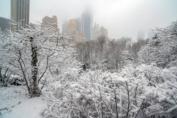 Central Park in winter after snow storm