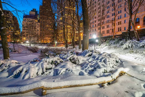Central Park Inverno Dopo Tempesta Neve — Foto Stock