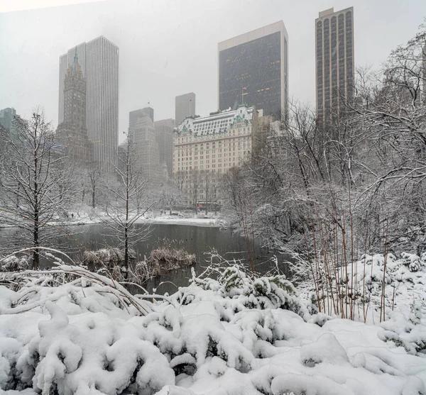 Центральный Парк Зимой После Снежной Бури — стоковое фото