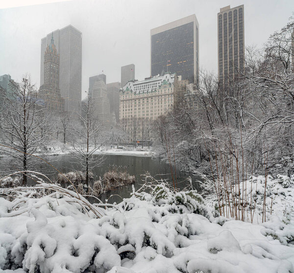 Central Park in winter after snow storm