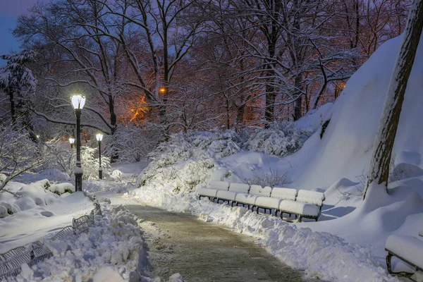 Central Park Inverno Após Tempestade Neve — Fotografia de Stock