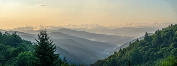 Great Smoky Mountains National Park Abd Nin Güneydoğusunda Tennessee Kuzey — Stok fotoğraf