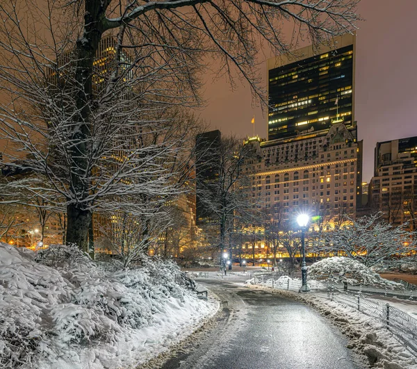 Central Park Zimą Śnieżycy — Zdjęcie stockowe
