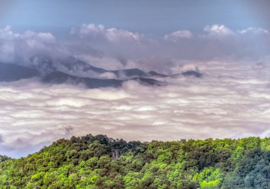 Great Smoky Mountains National Park, ABD 'nin güneydoğusunda Tennessee ve Kuzey Carolina' da bulunan bir ulusal parktır.