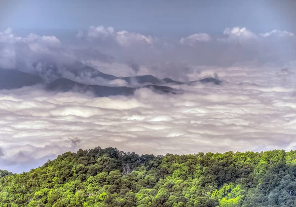 Great Smoky Mountains National Park Abd Nin Güneydoğusunda Tennessee Kuzey — Stok fotoğraf