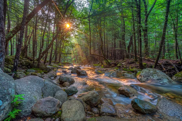 Paesaggio Sulla Kancamagus Highway Slong Torrente Mattino Presto — Foto Stock