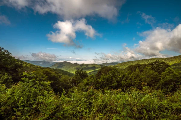 Great Smoky Mountains National Park Parque Nacional Estadounidense Sureste Estados —  Fotos de Stock