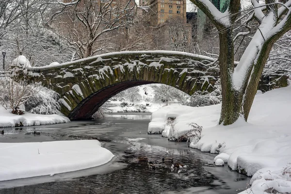 Puente Gapstow Central Park Nueva York Después Tormenta Nieve —  Fotos de Stock