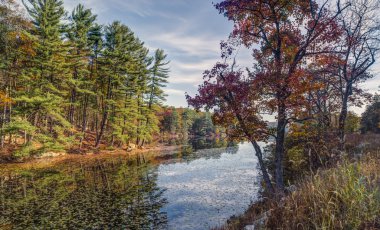 Harriman state park Güz