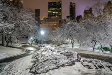 Central Park 'taki Gapstow Köprüsü 
