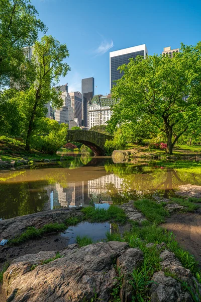 Ponte Gapstow Central Park — Foto Stock