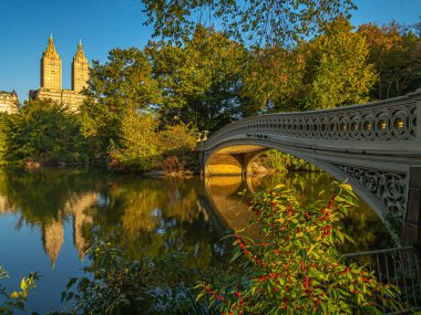 Pruva köprüsü, Central Park, New York