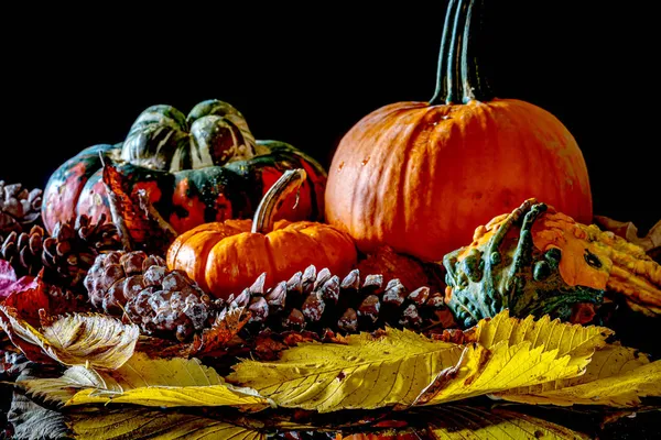 Herbststilleben Mit Kürbissen Und Blättern — Stockfoto