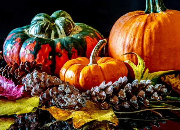 Осенний Натюрморт Тыквами Листьями — стоковое фото
