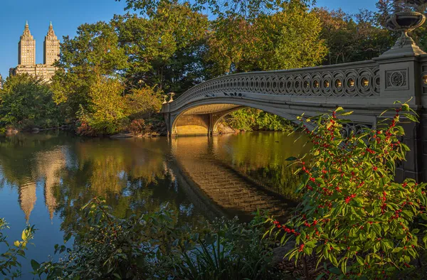 Bogenbrücke Central Park New York City — Stockfoto