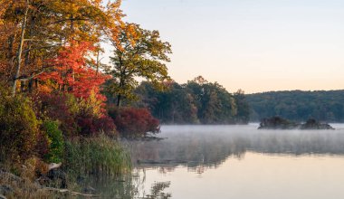 Harriman State Park, Rockland ve Orange ilçelerinde, sisli bir sabahta gün doğumunda