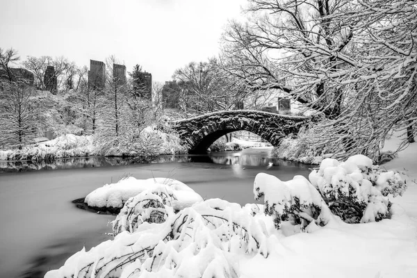 Gapstow Bridge Central Park Sneeuwstormen Vroege Ochtend — Stockfoto