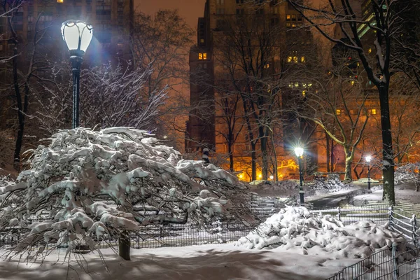 Central Park Inverno Dopo Tempesta Neve Notte — Foto Stock