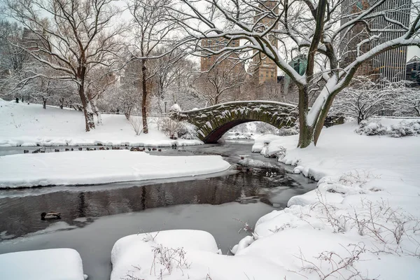 Most Gapstow Central Parku Sněhové Bouři Časně Ráno — Stock fotografie