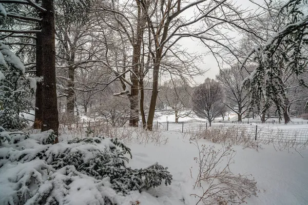 Central Park Inverno Após Tempestade Neve — Fotografia de Stock