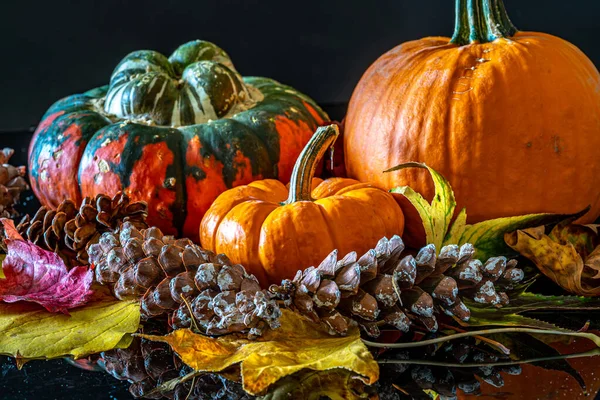 Осенний Натюрморт Тыквами Шишкой Листьями — стоковое фото