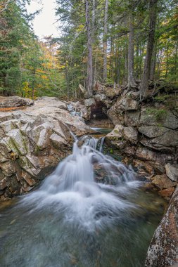 Kancamagus Otoyolu 'nun manzarası