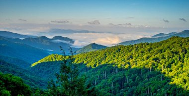 Great Smoky Mountains National Park, ABD 'nin güneydoğusunda Tennessee ve Kuzey Carolina' da bulunan bir ulusal parktır.