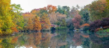 Central Park 'taki Gapstow Köprüsü Sonbaharda sabahın erken saatlerinde